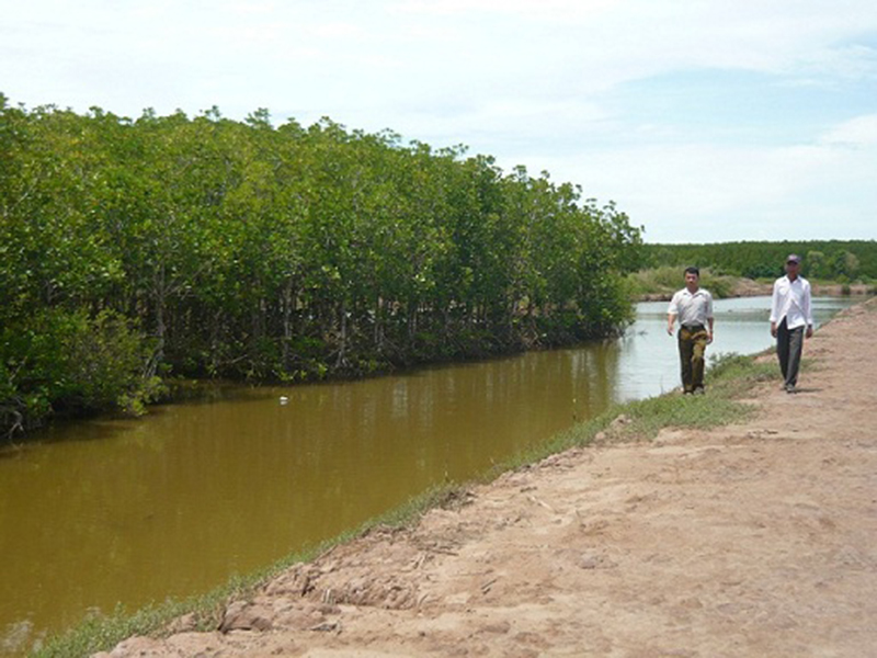 Quê nội